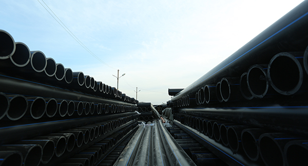 PE91免费看片入口